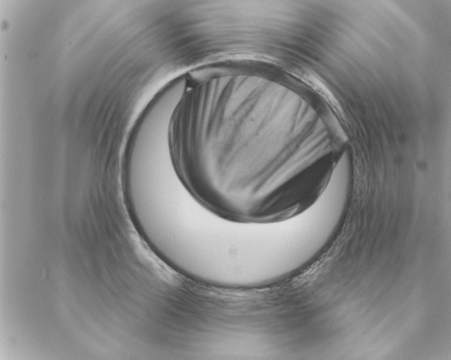 X0000088161132200706051045