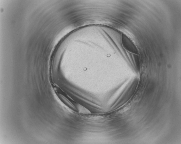 X0000088161135200706051045