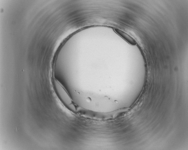 X0000088161136200706051045