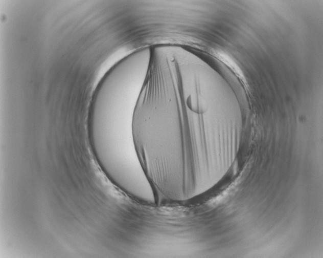 X0000088161138200706051045