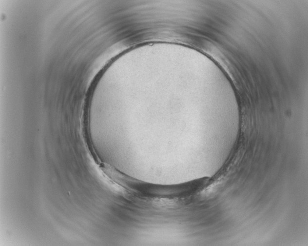 X0000088161139200706051045