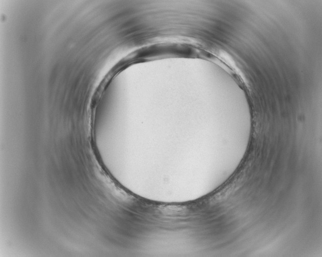 X0000088161140200706051045