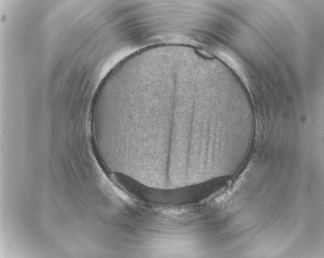 X0000088161141200706051045