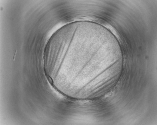 X0000088161143200706051045