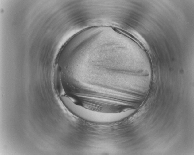 X0000088161144200706051045