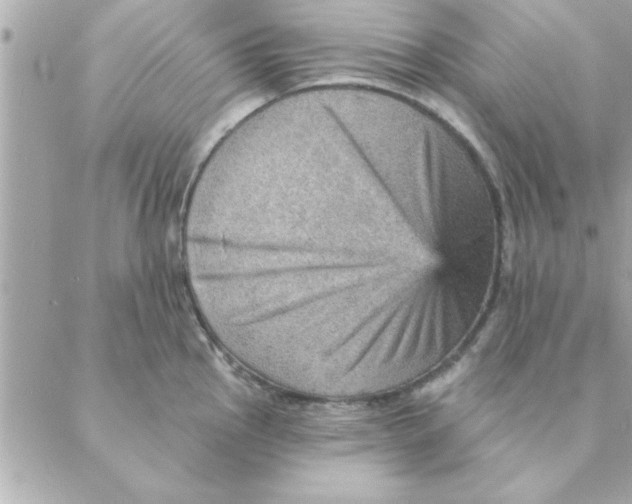 X0000088161145200706051045