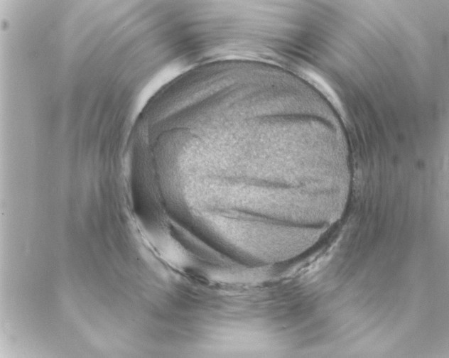 X0000088161146200706051045