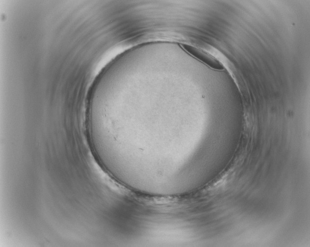 X0000088161147200706051045