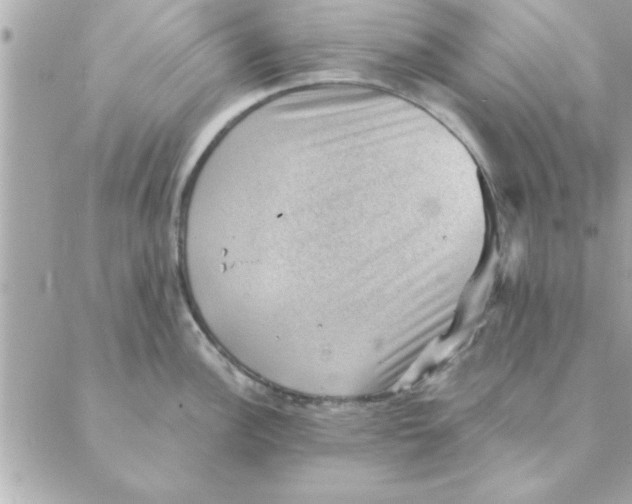 X0000088161148200706051045