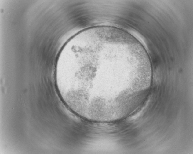 X0000088161149200706051045