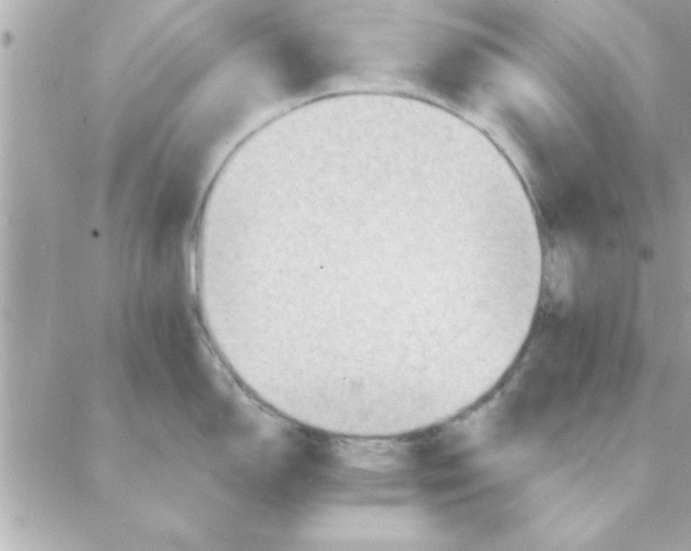 X0000088161150200706051045