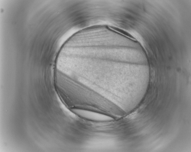 X0000088161151200706051045