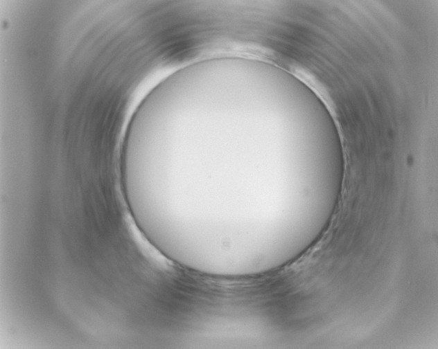 X0000088161152200706051045