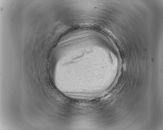 X0000088161153200706051044