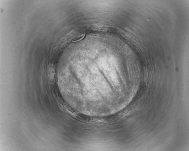 X0000088161154200706051044