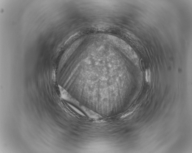 X0000088161155200706051044