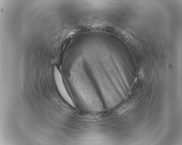 X0000088161156200706051044