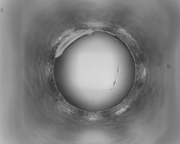 X0000088161157200706051044