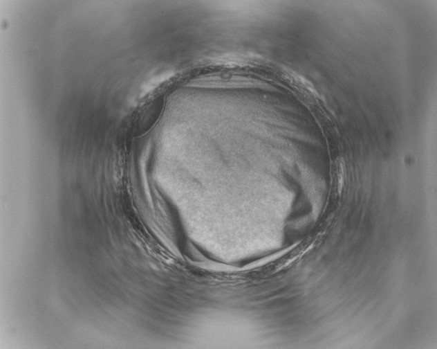 X0000088161158200706051044