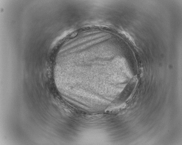 X0000088161159200706051044