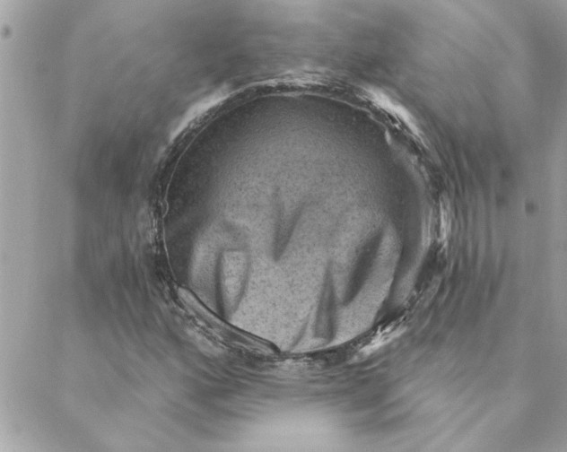 X0000088161160200706051044