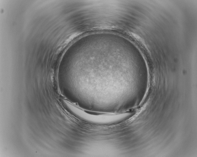 X0000088161161200706051044