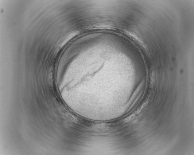 X0000088161162200706051044