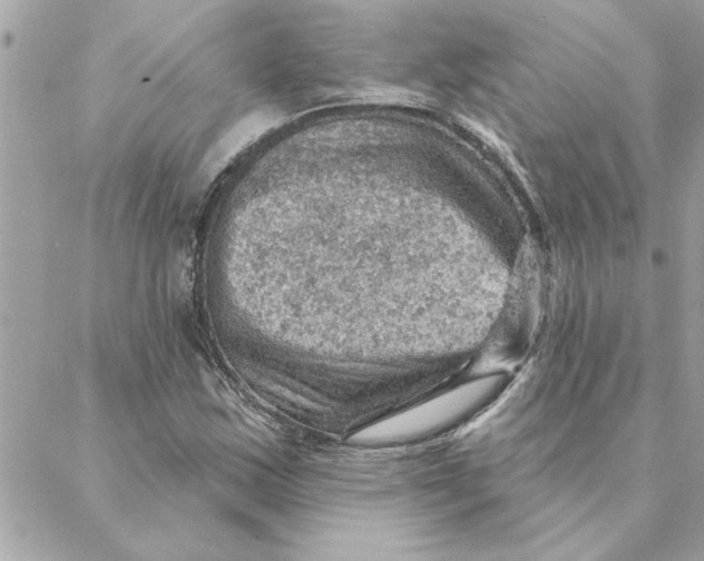 X0000088161163200706051044