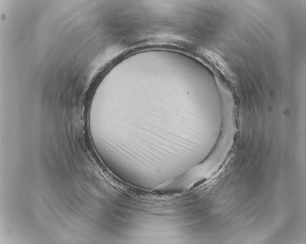 X0000088161164200706051044