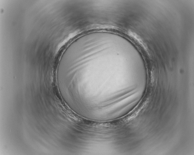 X0000088161165200706051044