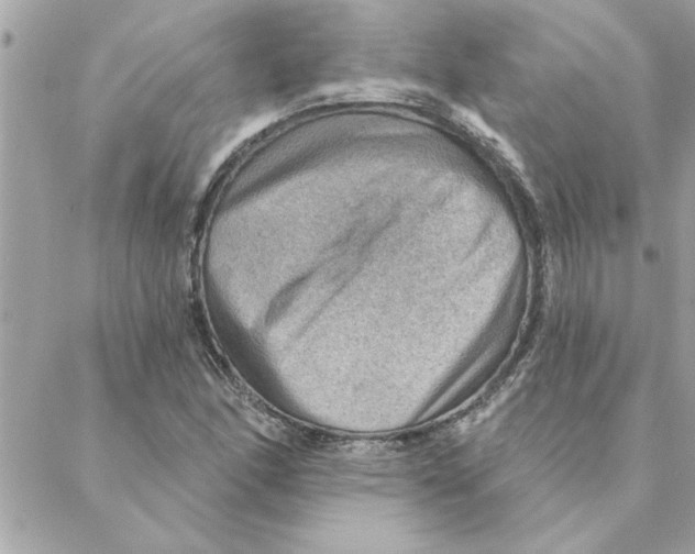 X0000088161166200706051044