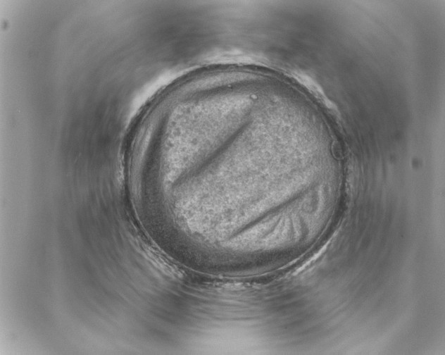 X0000088161167200706051044