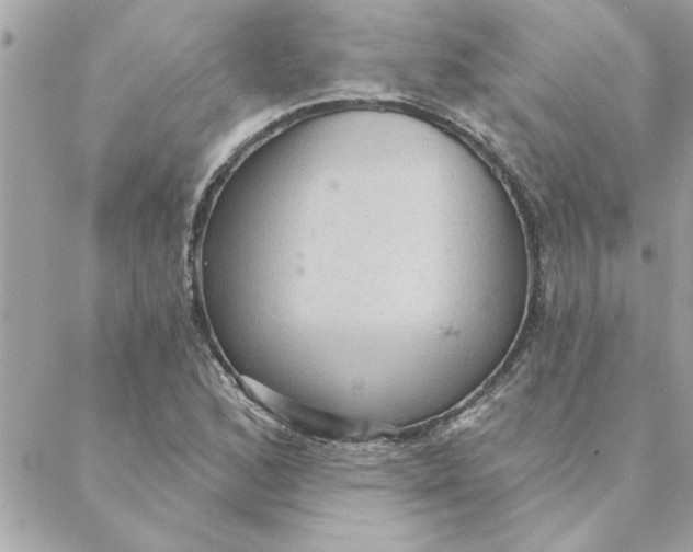 X0000088161168200706051044