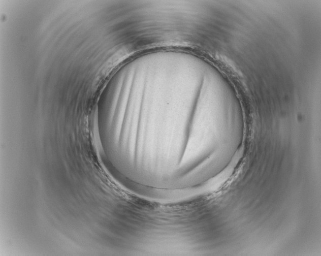 X0000088161169200706051044