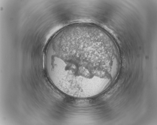 X0000088161171200706051044