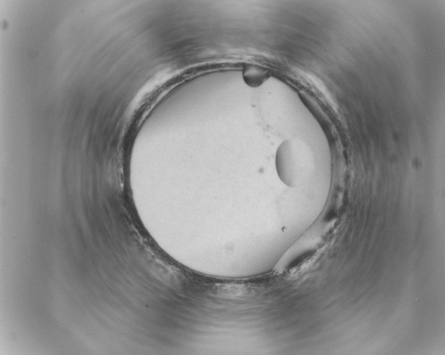 X0000088161172200706051044