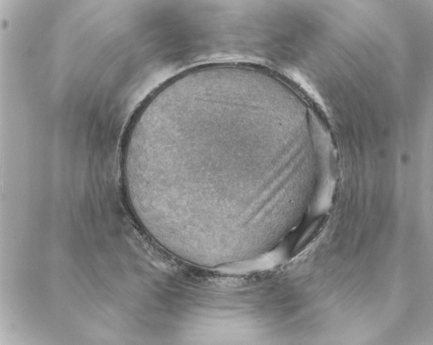 X0000088161173200706051044