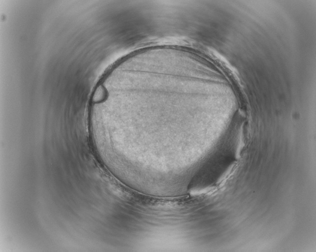 X0000088161174200706051044