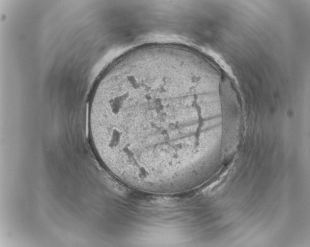 X0000088161175200706051044