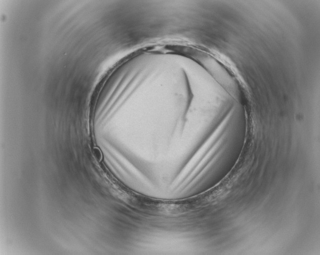 X0000088161176200706051044