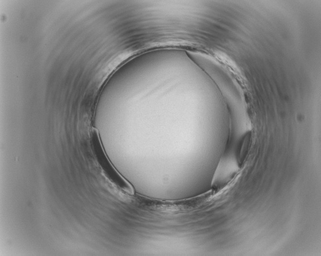 X0000088161177200706051044