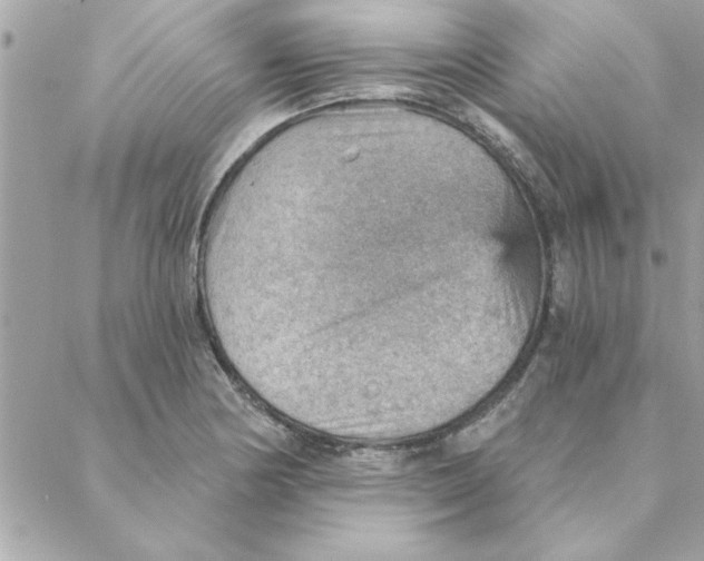 X0000088161178200706051044