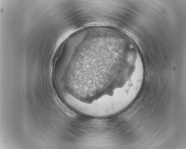 X0000088161179200706051044