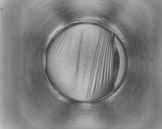 X0000088161180200706051044