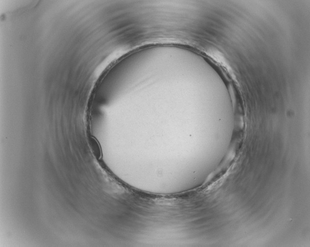 X0000088161181200706051044