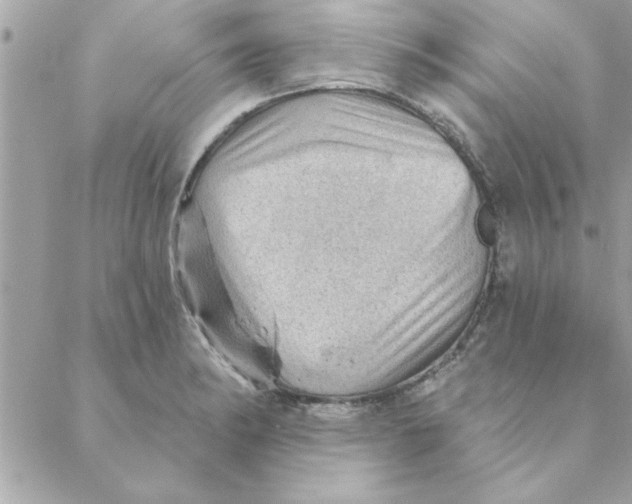 X0000088161182200706051044