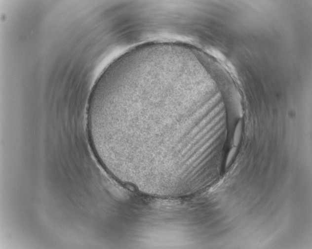 X0000088161183200706051044