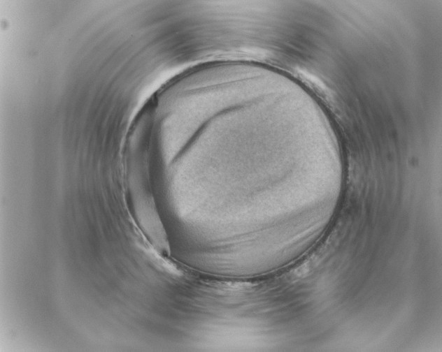 X0000088161184200706051044