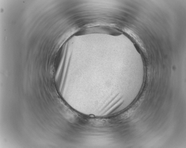 X0000088161185200706051044