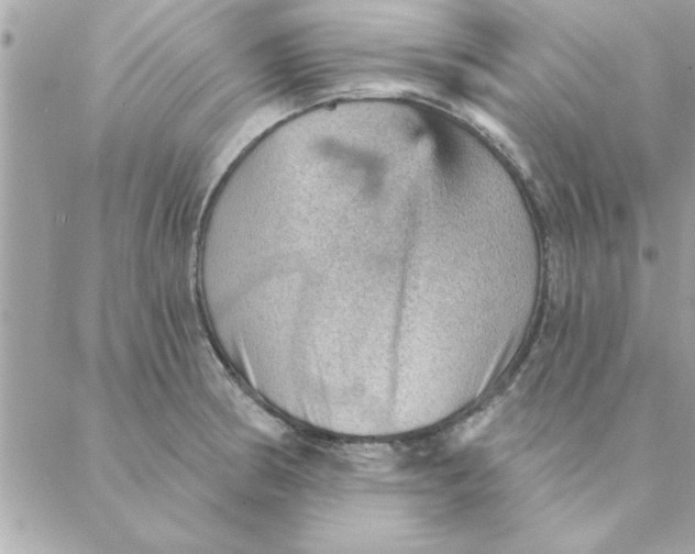 X0000088161186200706051044